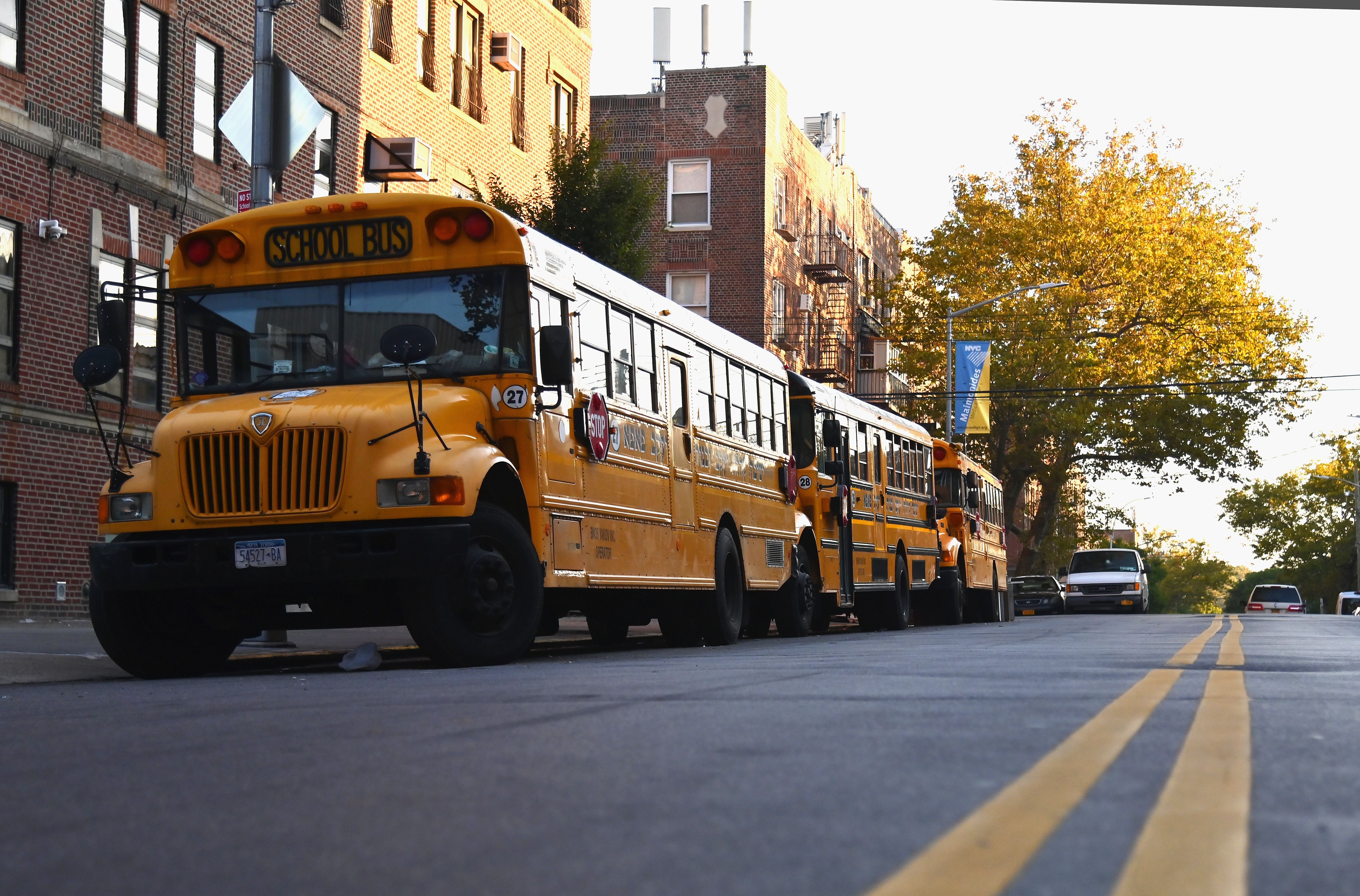 School buses parked on the street.