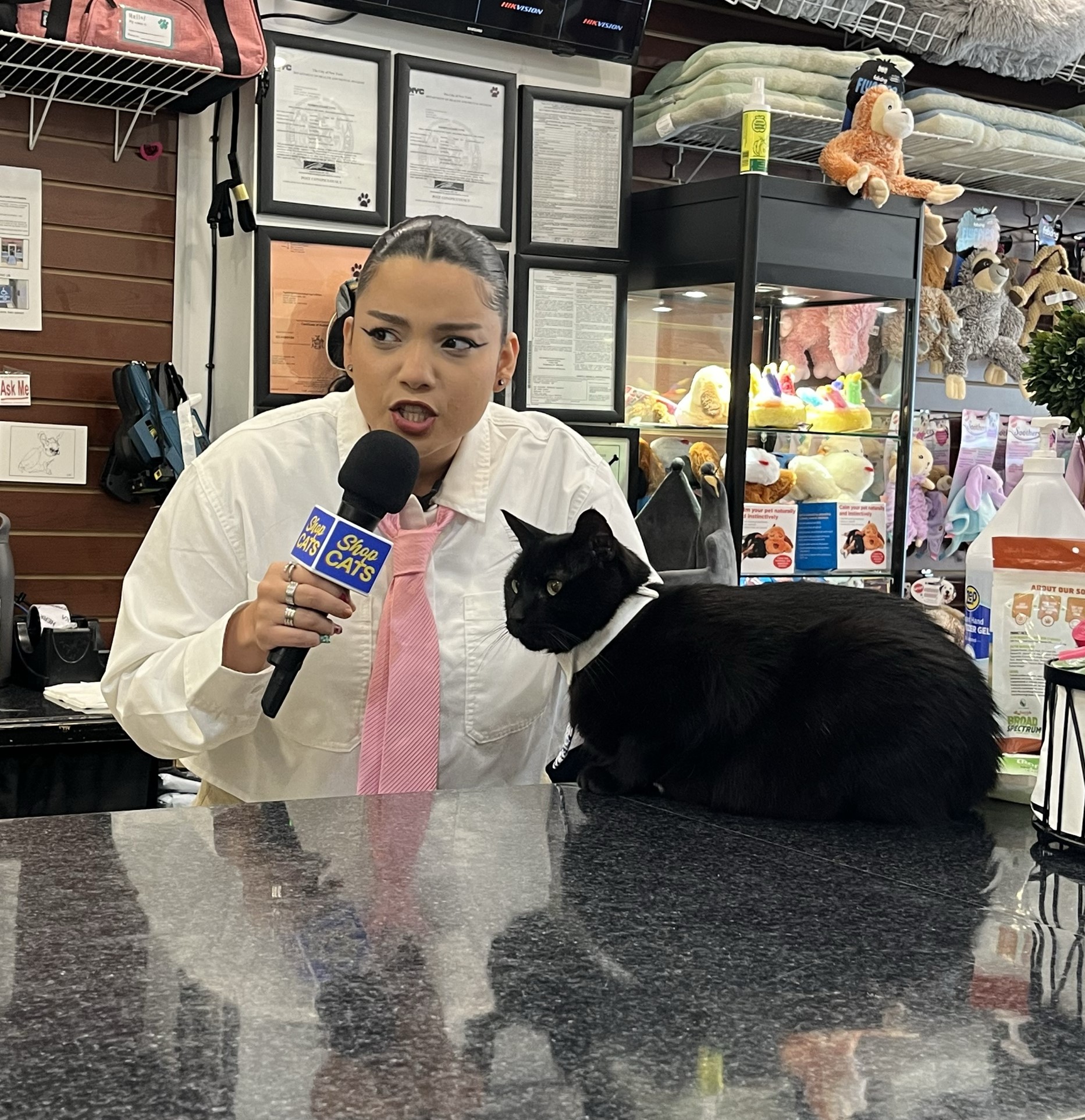 A woman interviews a cat