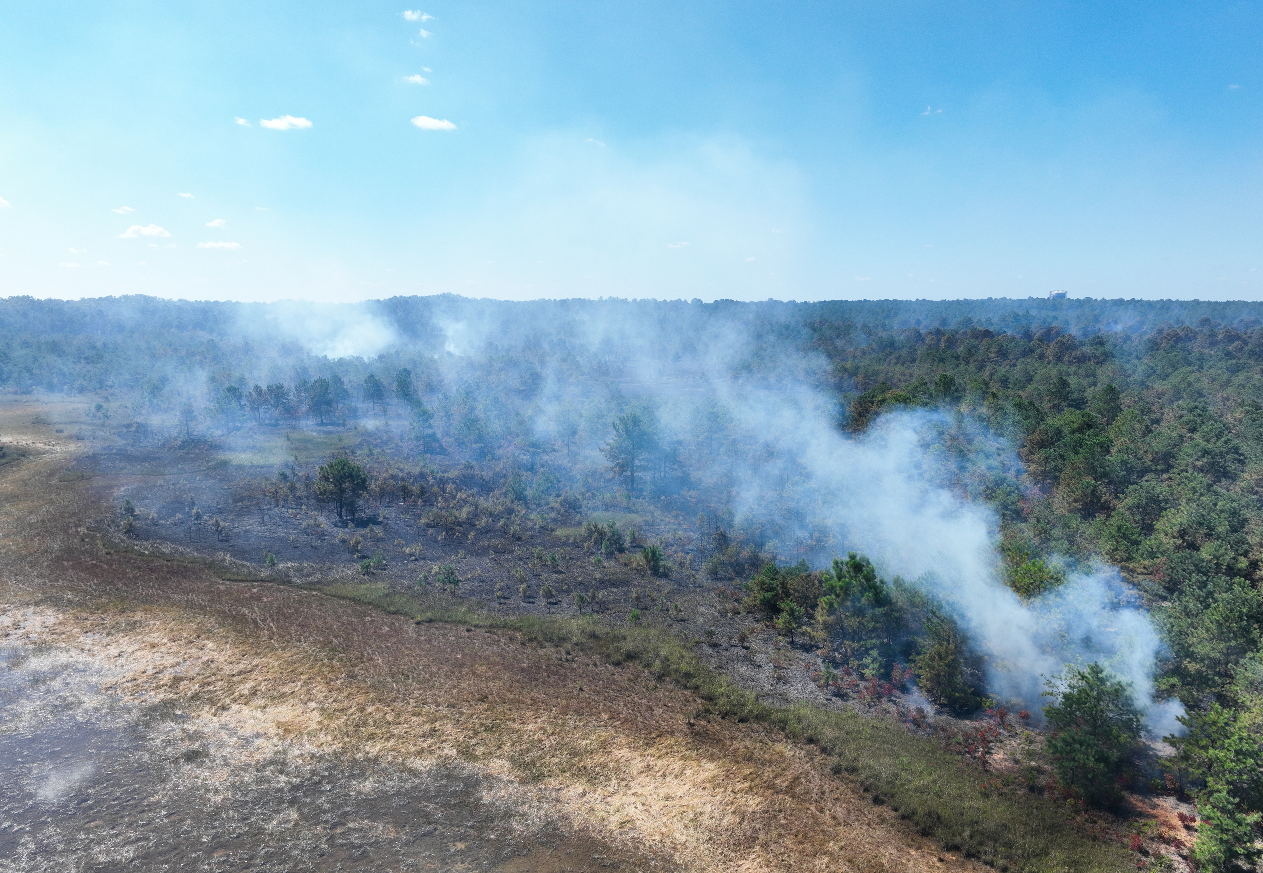 A photo of a wildfire in New Jersey