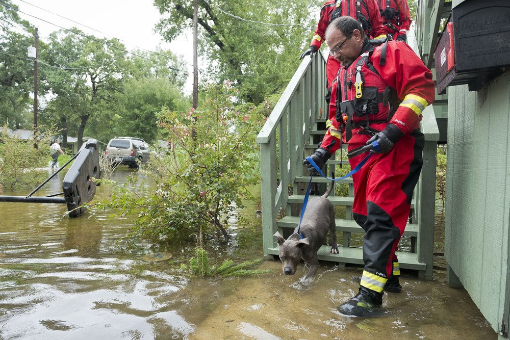 001c20f44hsus_photo_387725-jpg.jpeg An HSUS rescue team with animals (AP Images for HSUS)