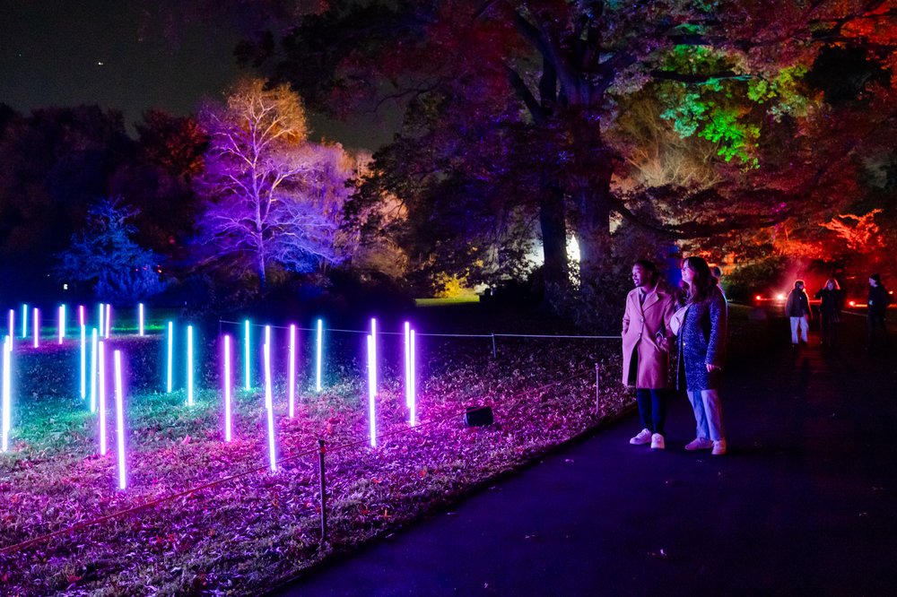 colorful light sticks pop out of the grass in the dark