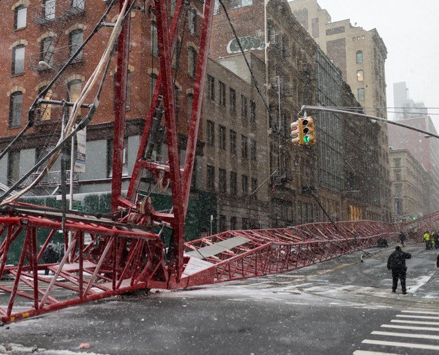 020516cranebecca.jpg