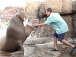 0209manateesandler.jpg