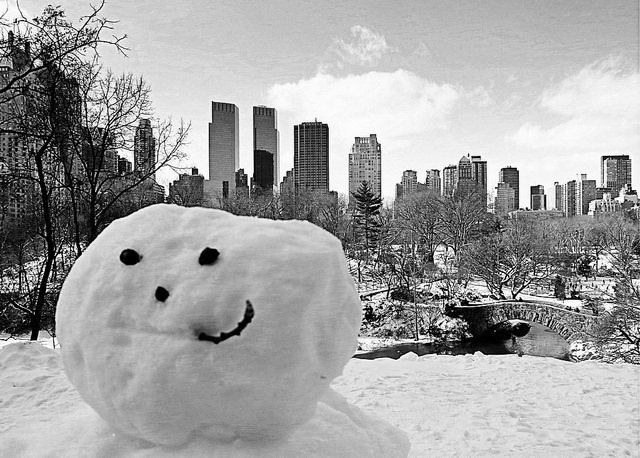 021114snowman.jpg