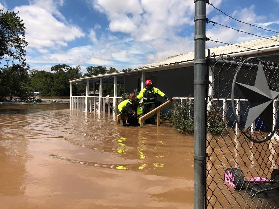 On Wedneday, August 30, New York Task Force 1 (NY-TF1) conducted search and rescue operations in Brazoria County, Texas. (NYPD)