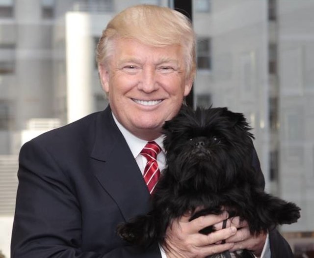 042613trump.jpg