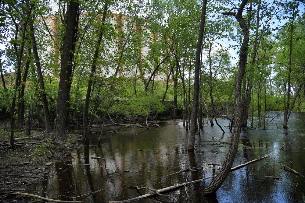 The inland portion of the Rossville Municipal Site, adjacent to an abandoned liquid natural gas tank.