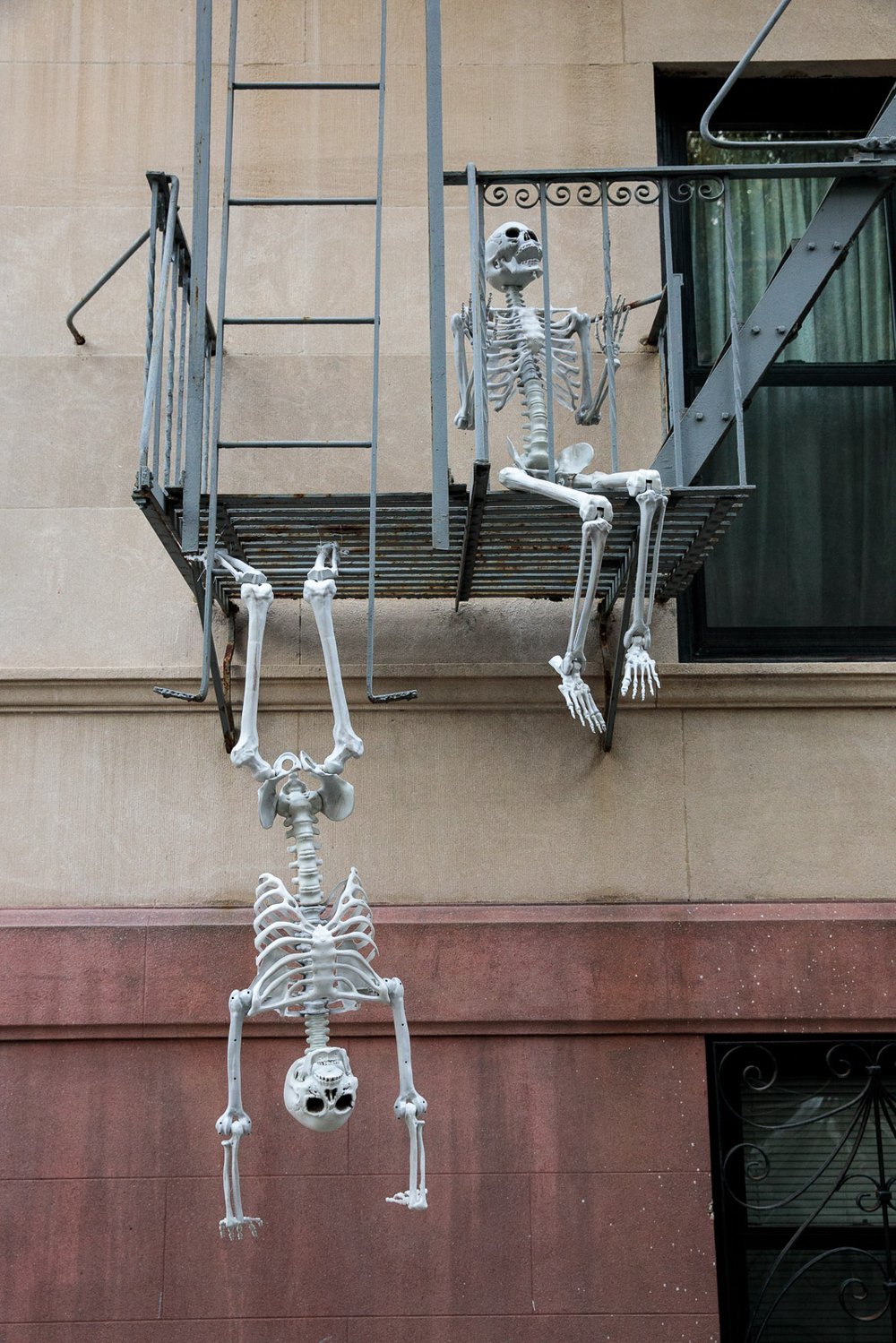 04f0a8c0dcarrollgardenscobblehillhalloweendecorations-28-jpg.jpeg