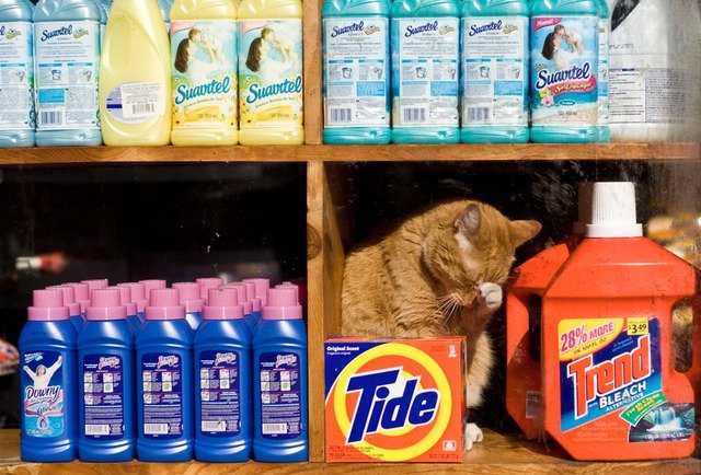 050214bodega.jpg