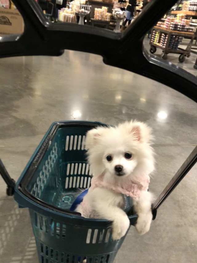 050218dog3.jpg