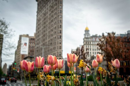 phil roeder's flickr