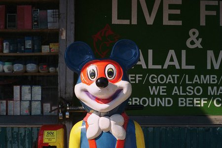 tom scola's flickr