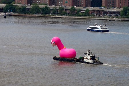 052019flamingo.jpg