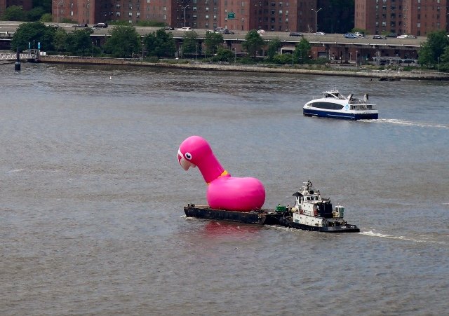 052019flamingo.jpg