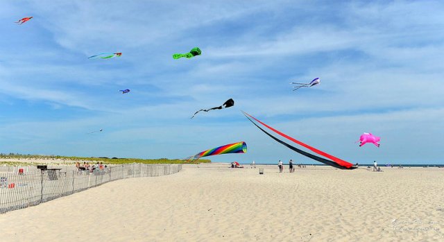 kites on the beach