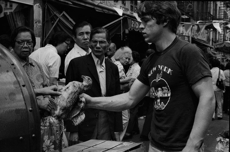 059427bfdc6448dc6dd59a5f61676d16a6e0185b0-jpg.jpeg Chicken, vendors, and shoppers in front of 210 Canal Street (probably), south side, at Walker Street. 1980s.<br/>