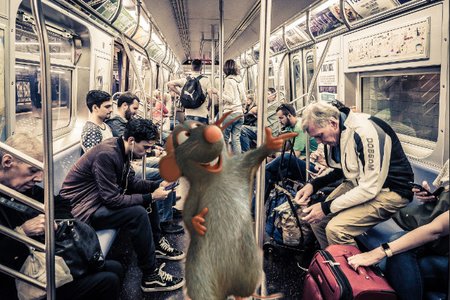 060619subwayrat1.jpg
