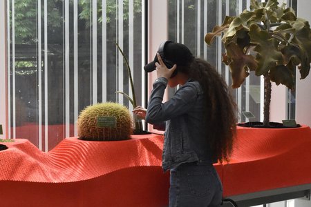 Move to melodies made both by and for plants