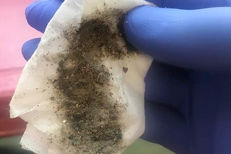 One of the samples of paint dust