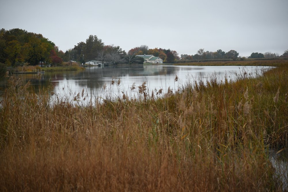 A previously restored wetland on Lower Alloways Creek. The center of town in this small community is just three miles upstream from the NJ Wind Port.