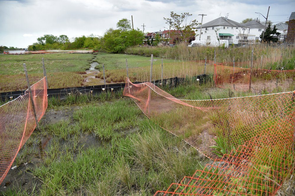 Homes in Canarsie, Brooklyn, looking over the Fresh Creek Nature Preserve, May 11th, 2021