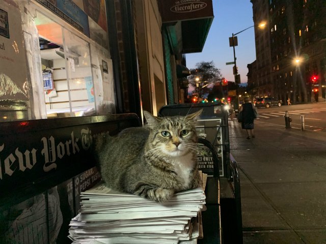 Photo by Jen Chung/Gothamist