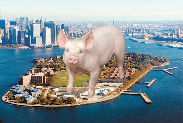 082112pigisland.jpg Pork lovers rejoice! Governor's Island once again becomes Pig Island when the piggy party returns Labor Day weekend. City chefs will have their way with 80 locally sourced hogs, putting on butchering and cooking demonstrations and creating piggy plates for you to gobble up. This year, foodie notables like Dale Talde, Joe Dobias, Jimmy Carbone and Michael Ferraro will put their swiney spin on the festival and a Veggie Pavillion by Cathry Erway will be available for the meatless set. Included in your ticket price is unlimited Sixpoint beer, as well as wine and cider from points north.Saturday, September 1st, 11:30 a.m. to 4:30 p.m. // Tickets $85