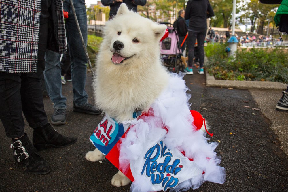 093288363dog-18-jpg.jpeg