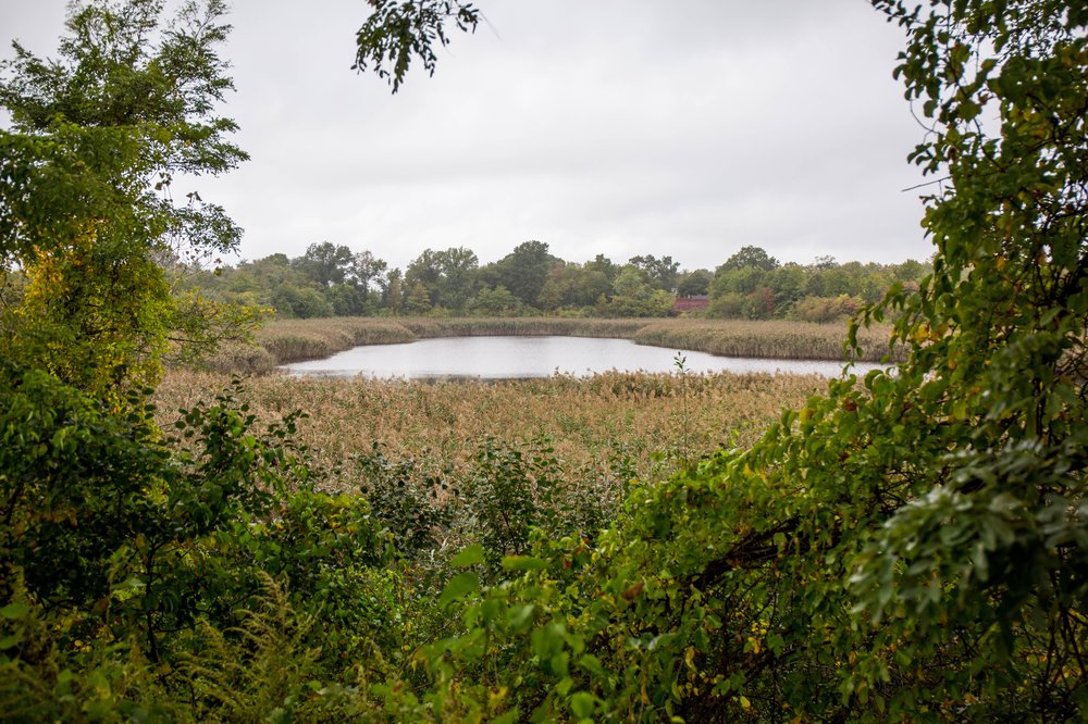 0a685c5dcreservoir-11-jpg.jpeg