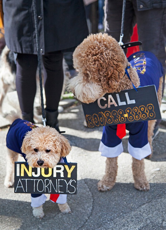 0aad8226dfd47635d9_mg_5812_best_one_celino_and_barks-jpg-mobile-jpeg.jpeg Cellino & Barnes, before the divorce<br>