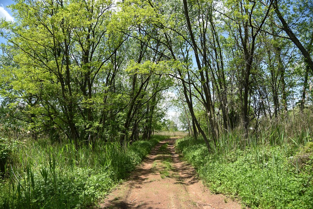 The proposed site of the Arthur Kill Terminal, in Staten Island, is accessed via two dirt roads off of Arthur Kill Road in Richmond Valley.