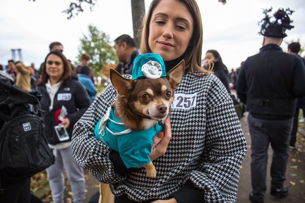 10ec67392dog-150-jpg.jpeg