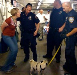 122809arrest2.jpg