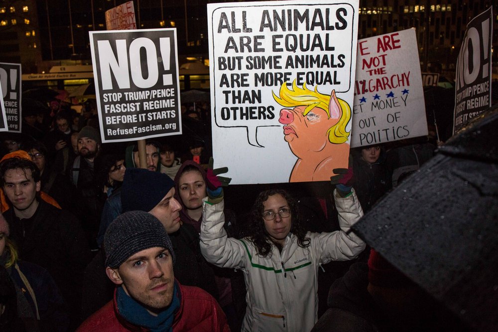 (Scott Lynch/Gothamist)