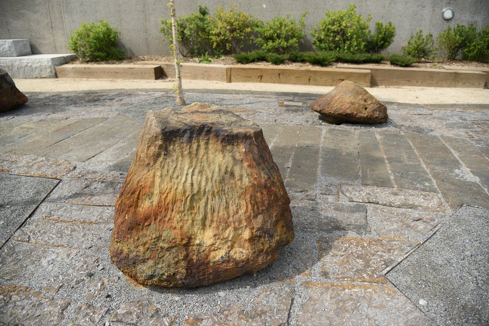 13_Kensinger_Newtown_Creek_Nature_Walk_DSC_1797.jpg The Newtown Creek Nature Walk includes a collection of 385 million-year-old fossilized tree stumps from the Gilboa forest in New York. These are some of the oldest tree fossils in the world. May 7th, 2021