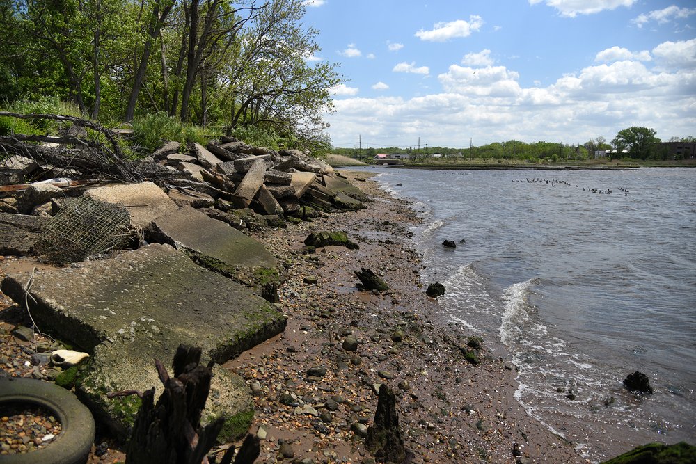 On the site’s southern edge, at the mouth of Mill Creek, the shoreline is covered with broken concrete slabs and wooden pilings, remnants of earlier industrial businesses, which include a lumber yard and coal yard.