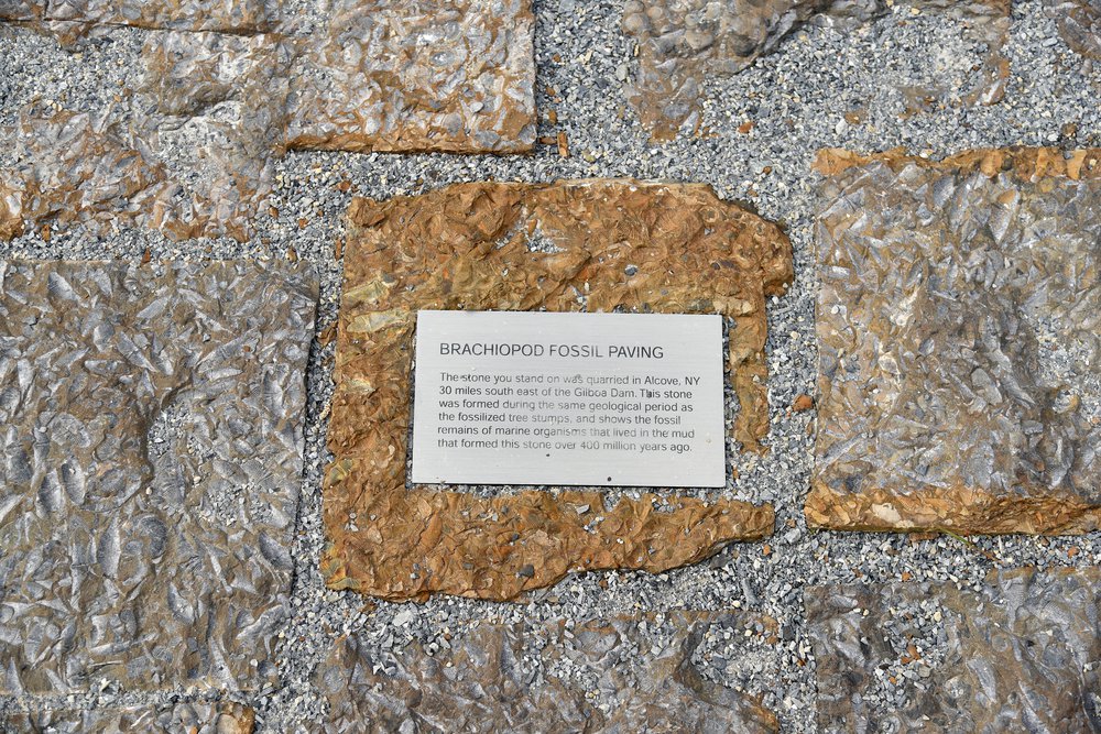 14_Kensinger_Newtown_Creek_Nature_Walk_DSC_2080.jpg Visitors to the nature walk are invited to walk on stones containing 400 million-year-old Brachiopod fossils from a quarry in New York. May 7th, 2021