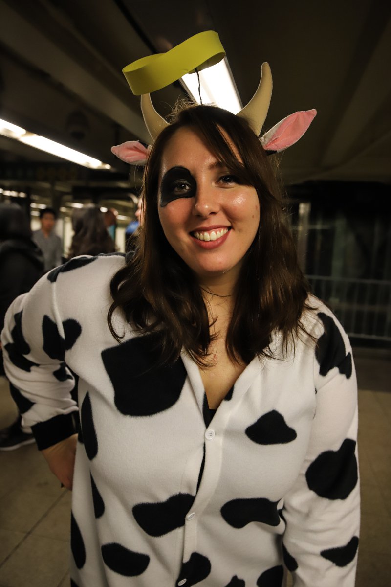 14f143f22holy-cow-jpg.jpeg Holy Cow