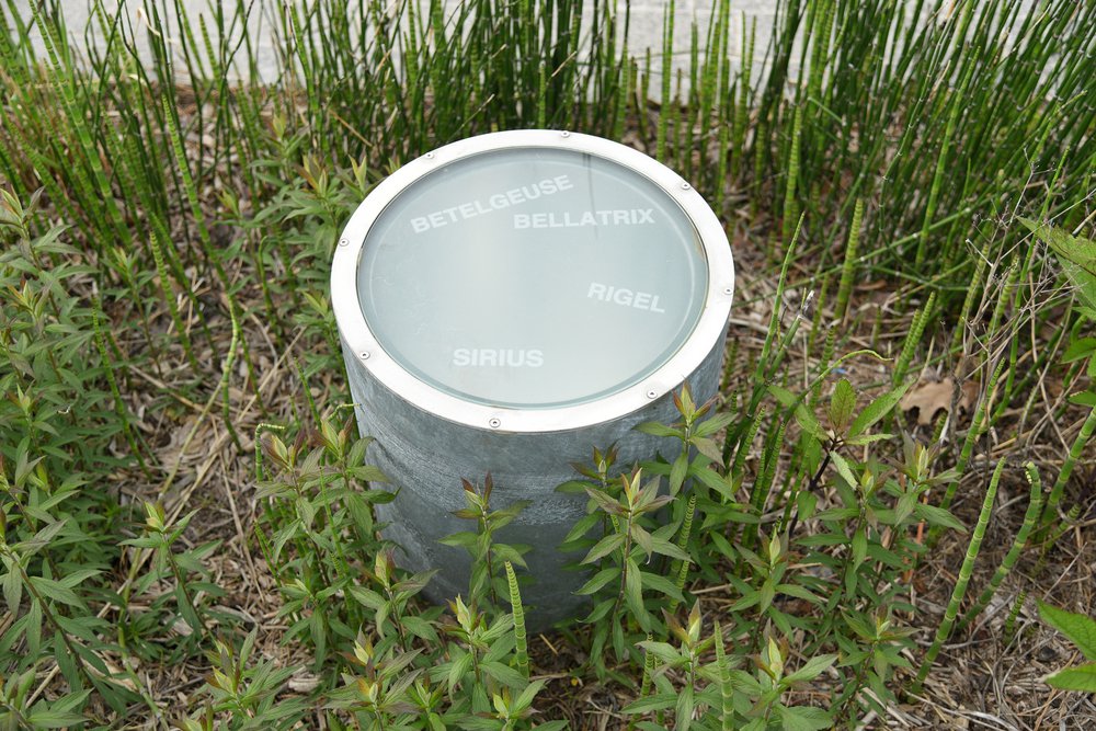 15_Kensinger_Newtown_Creek_Nature_Walk_DSC_2165.jpg A dozen solar-powered lamps are scattered through the new wetlands, etched with the names of stars used by navigators. May 7th, 2021