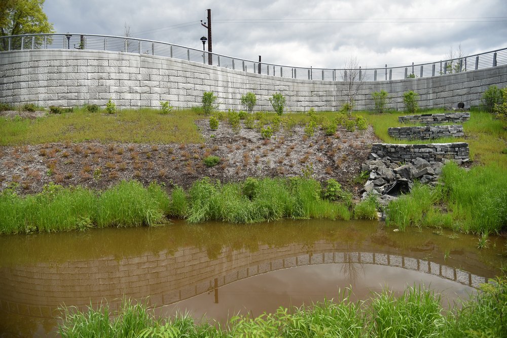 The new park features a series of gently rising ramps, bringing visitors up the pedestrian bridge over the Amtrak train tracks. The pathways provide overlooks onto the new rain gardens and the Bronx River.