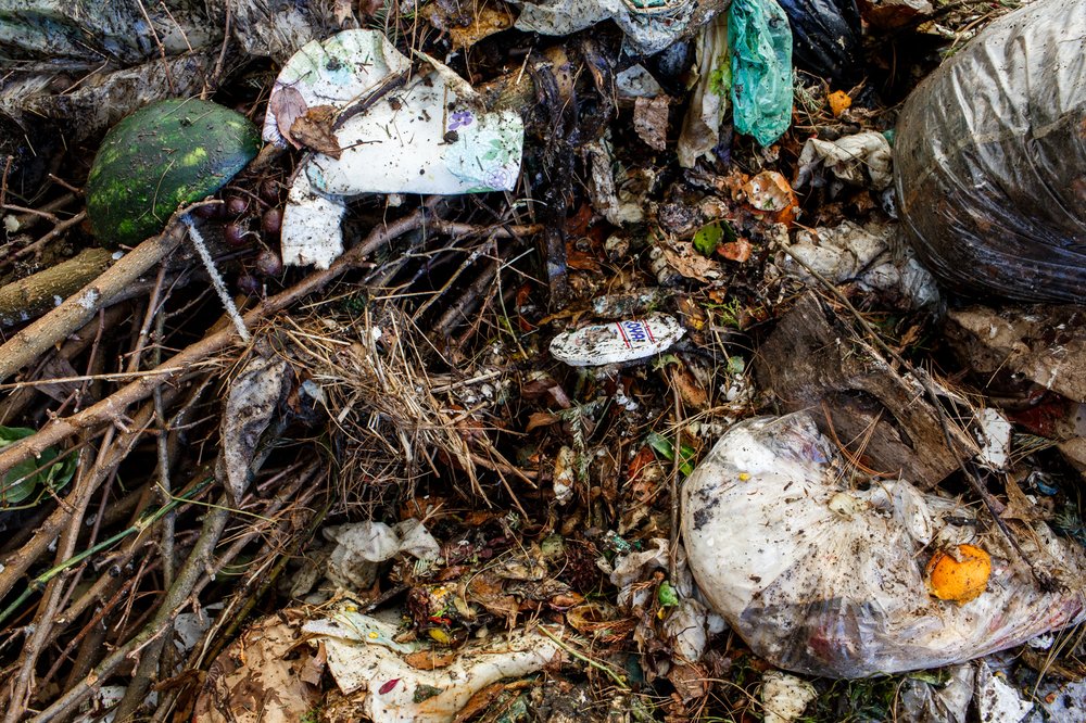 168298048032517compostdsny-7-jpg.jpeg Collected compostable waste.</br>
