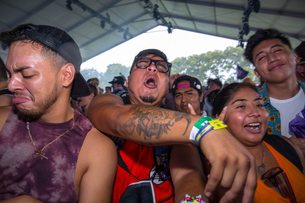 16cee4d21ezoo-65-jpg.jpeg