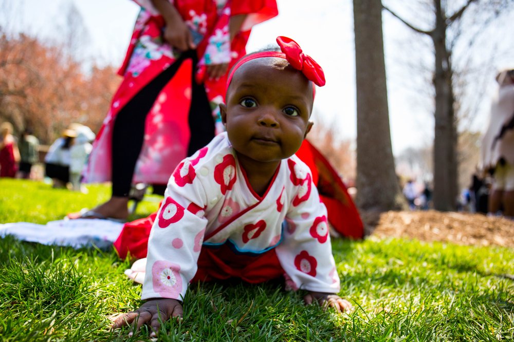 174580963sakura-29-jpg.jpeg
