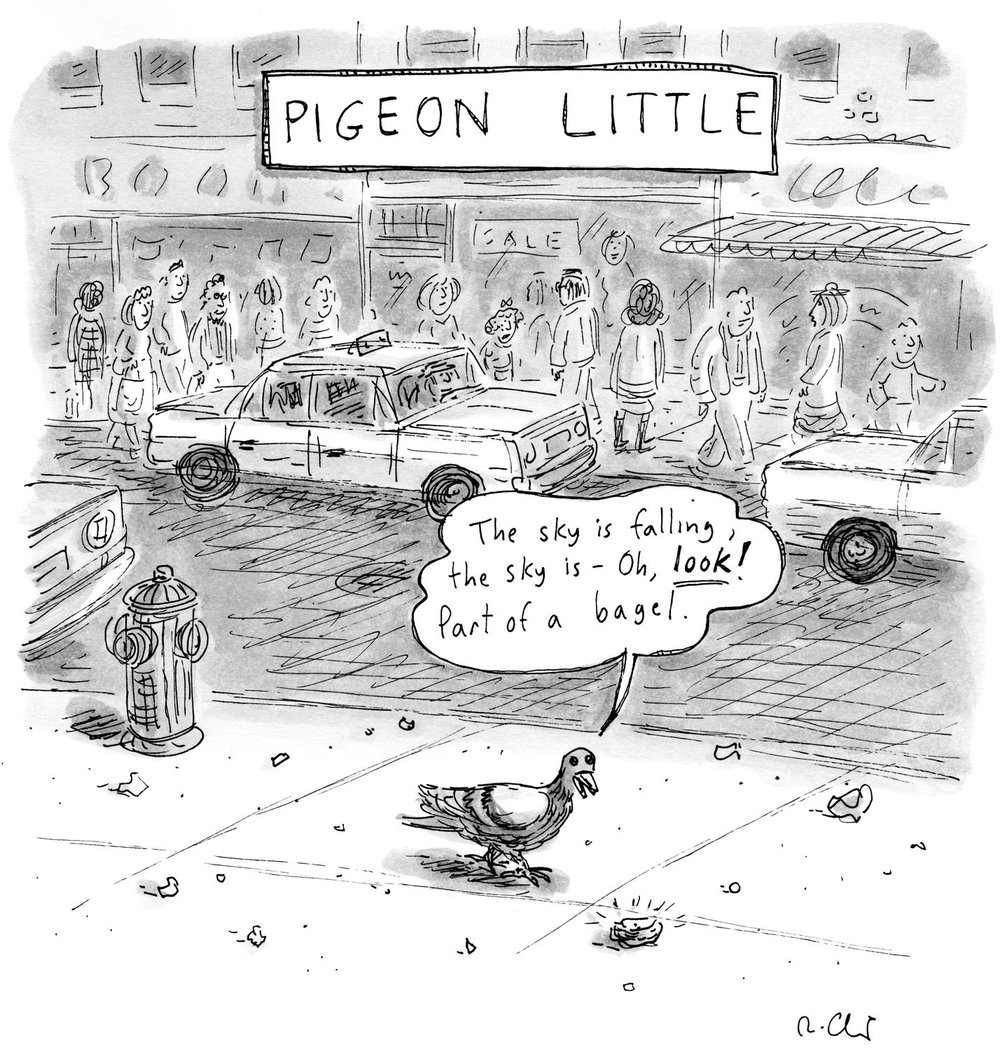 185b3d301pigeon-little-jpg.jpeg