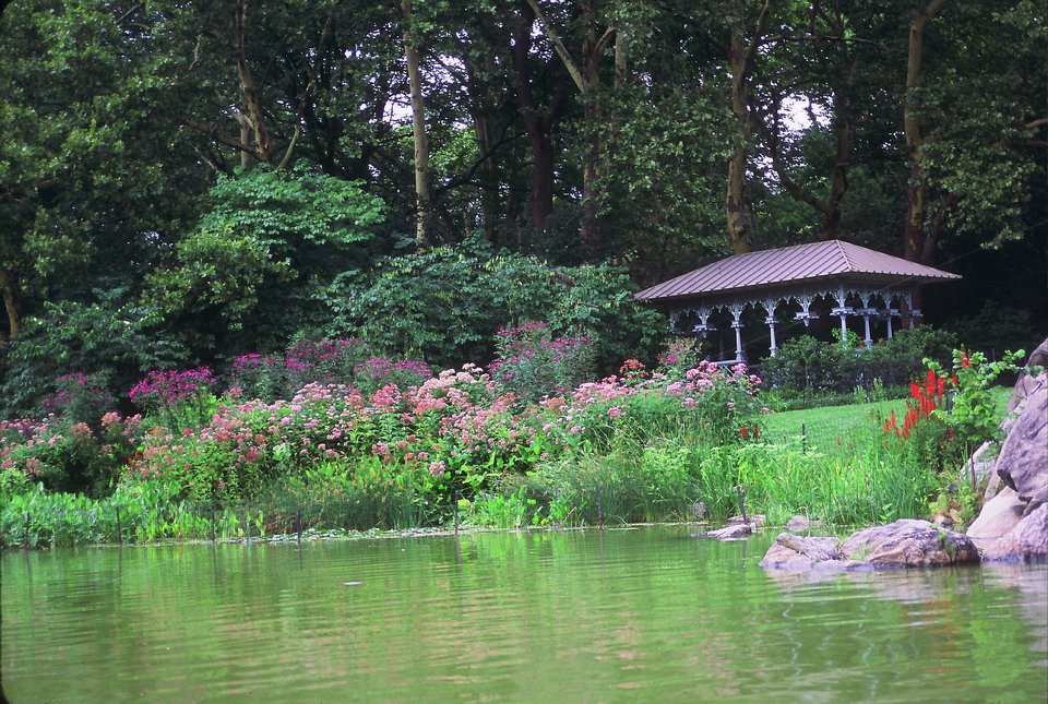 Hearnshead, present day. (Courtesy of the Central Park Conservancy)