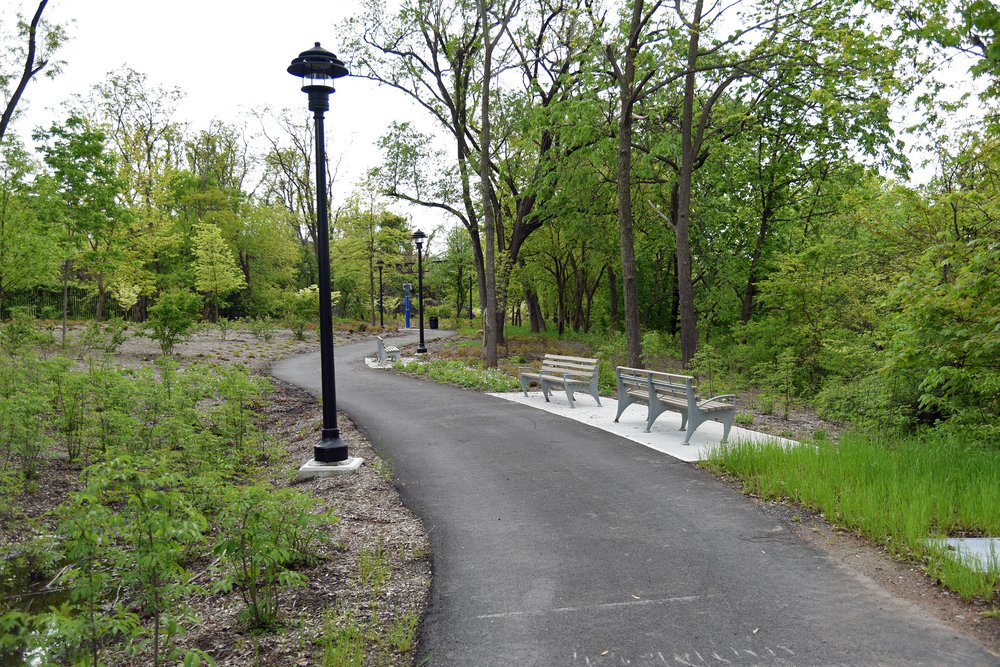 This trail travels through forests and wetlands, creating a new half-mile looping pathway around the river. Previously, this side of the river was undeveloped and not open to the public.