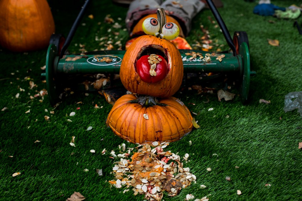 18d606897102417pumpkindisplay-2-jpg.jpeg