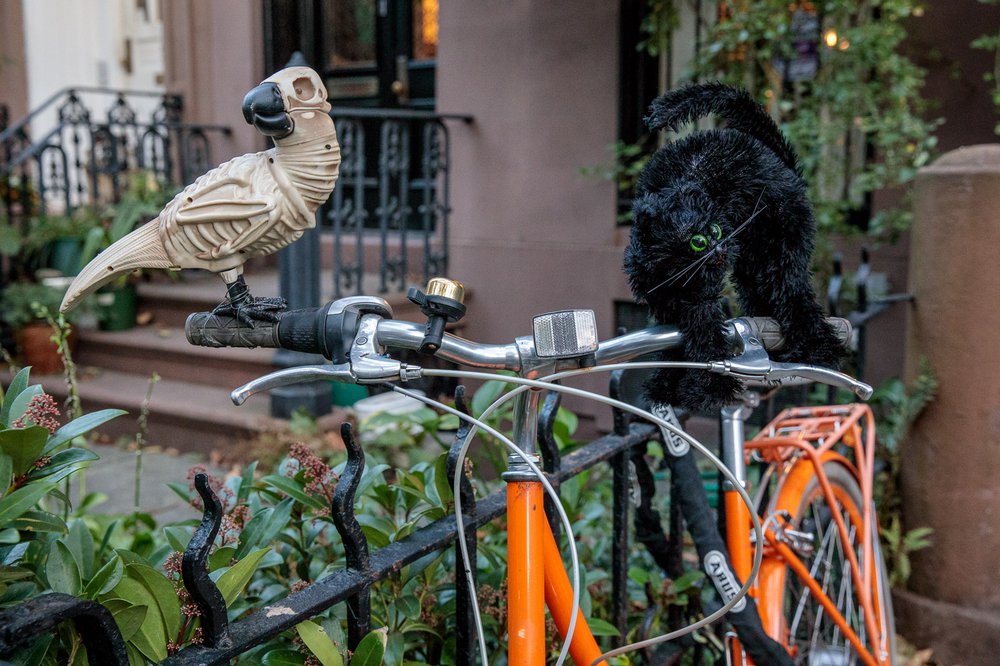 1934cd73ccarrollgardenscobblehillhalloweendecorations-85-jpg.jpeg