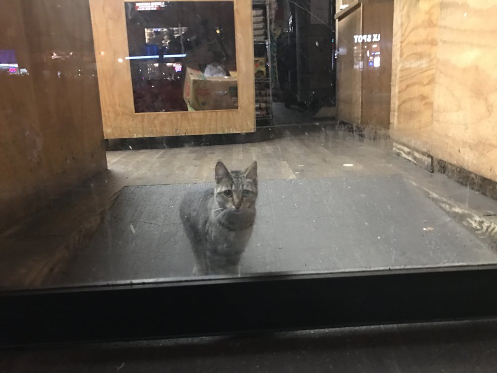 1ce4f0f74image-from-ios-3-jpg.jpeg He sure is sad to see you go.<br>(Jake Offenhartz / Gothamist)