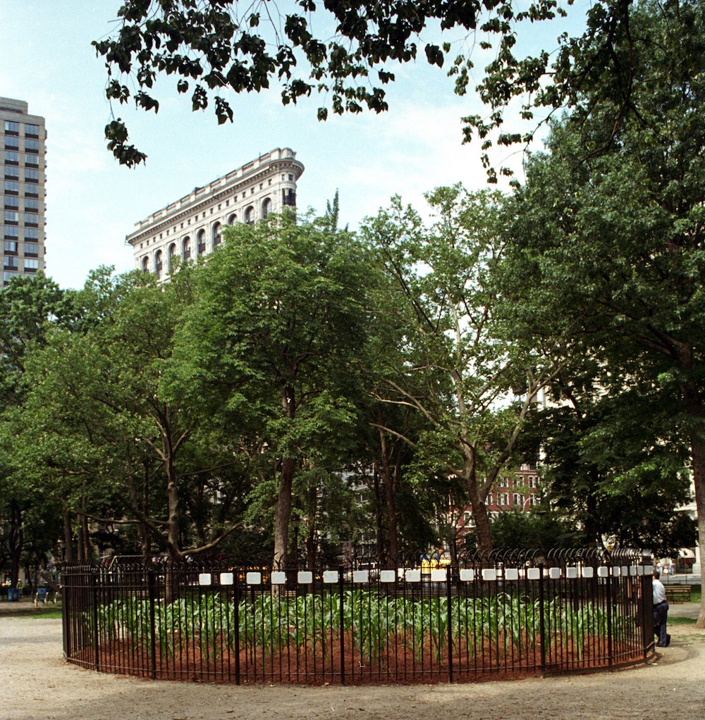 1d24f1e1b20melinda-hunt-circle-of-hope-1994-1-jpg.jpeg Melinda Hunt, Circle of Hope, 1994, Madison Square Park, Manhattan, Courtesy of Melinda Hunt. Melinda Hunt planted a small fenced-in cornfield called Circle of Hope (1994) in then-unrenovated Madison Square Park to commemorate the anonymous dead of the potter’s field that once occupied the site.<br/>